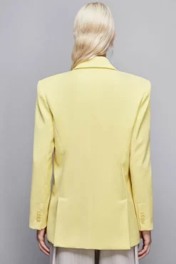 Blazer un bottone in flanella